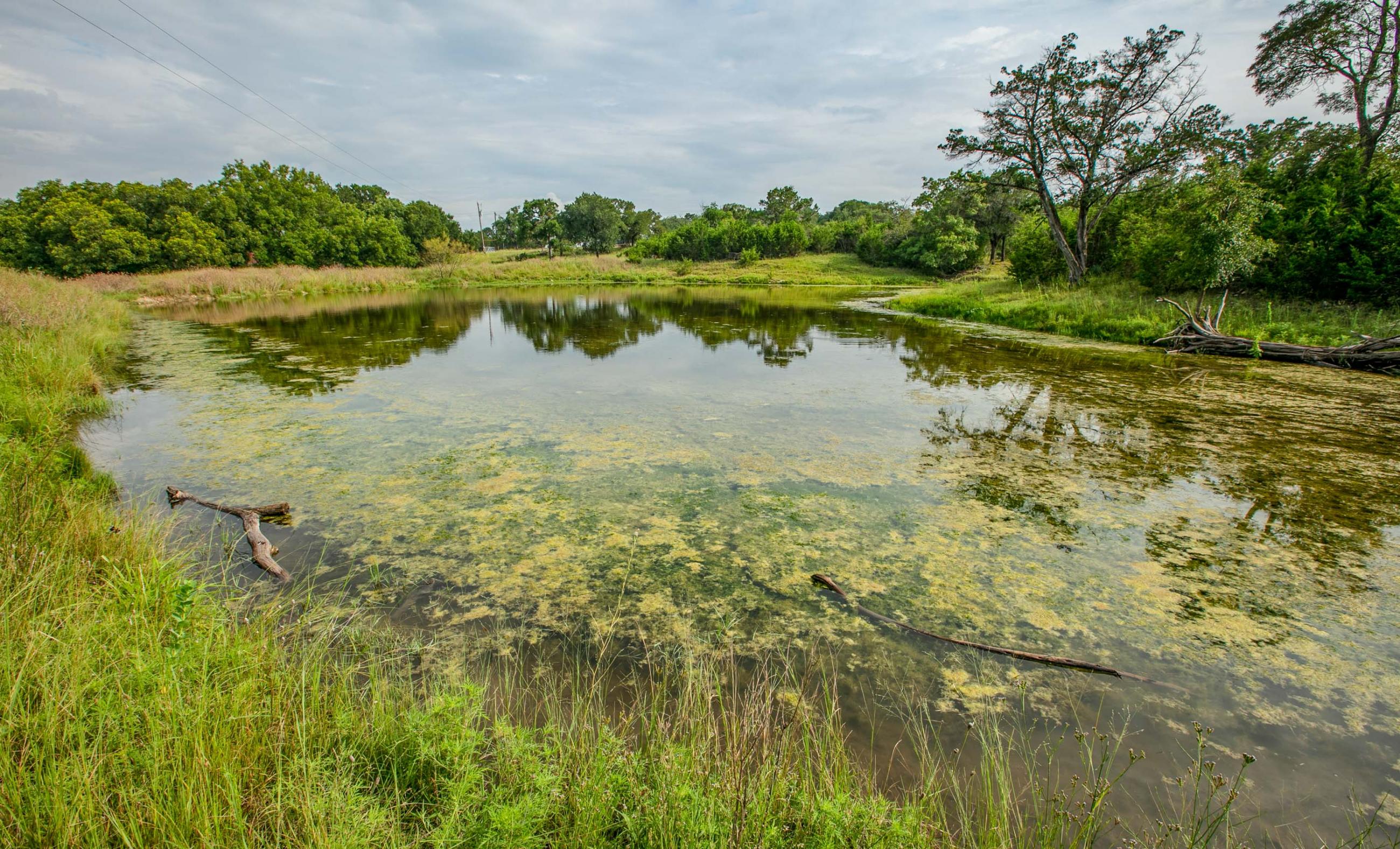 Procter P7 Lampasas River Ranch Chas S. Middleton